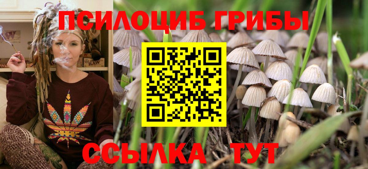 Галлюциногенные грибы MAGIC MUSHROOMS Печора